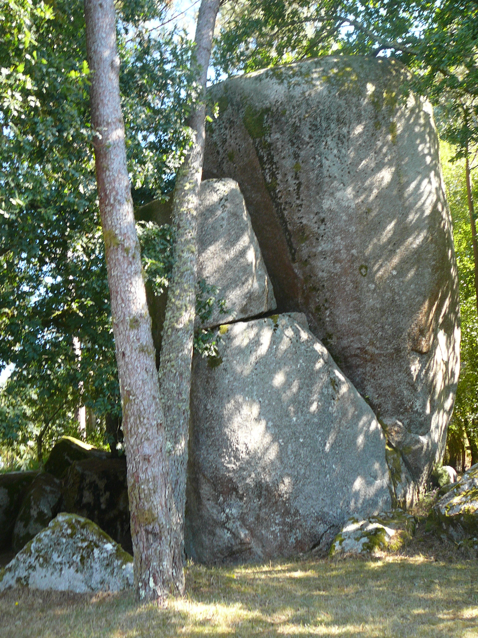 pedralonga